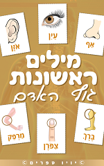 ספר מילים ראשונות – גוף האדם