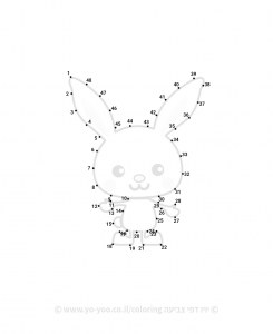 ����� ������ ���� ���� �������