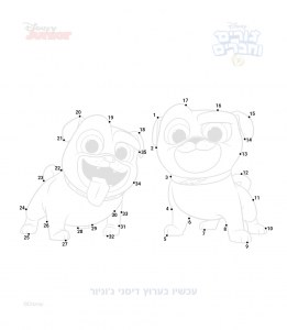 ����� ������ ����� ������ �������