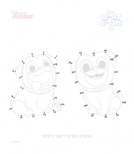 ����� ������ ����� ������ �������