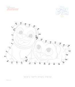 ����� ������ ����� ������ �������