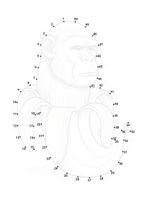 ����� ������ ��������� ������ �������