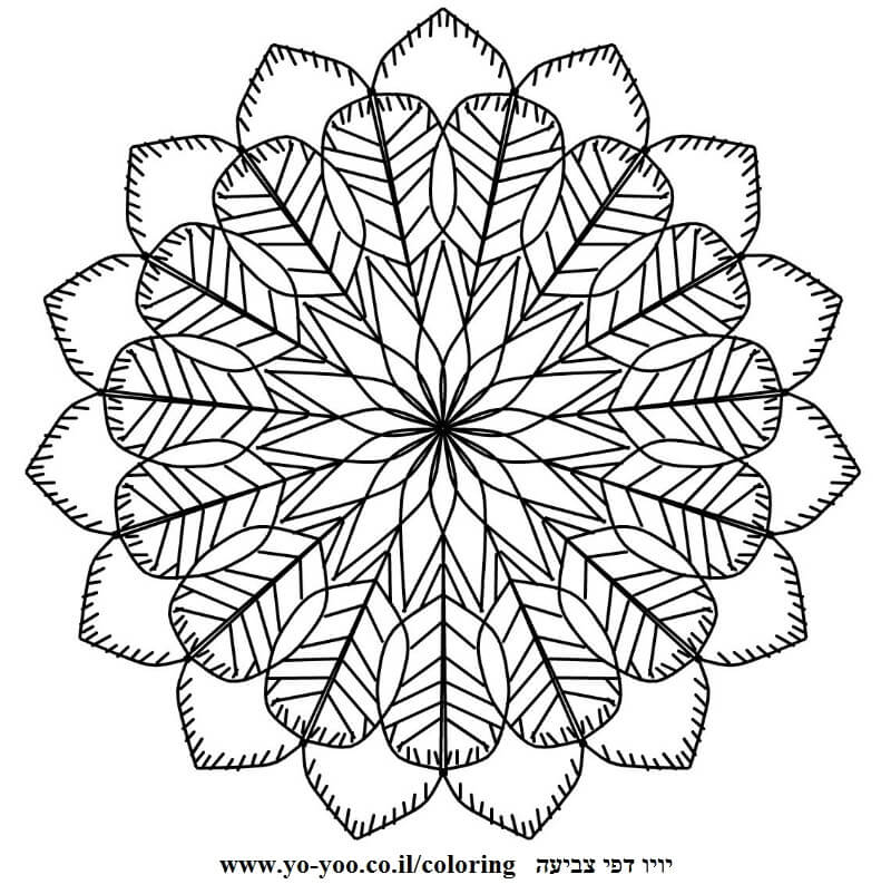 מנדלה סימטרית  מנדלה סימטרית