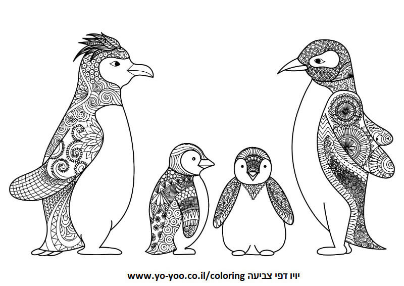 צביעה של פינגווינים