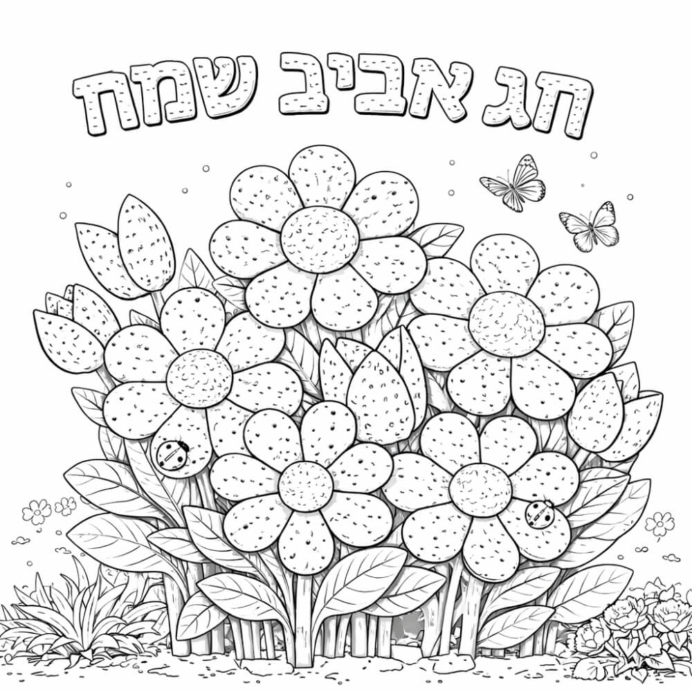 �� ����� �� ���� ��� 