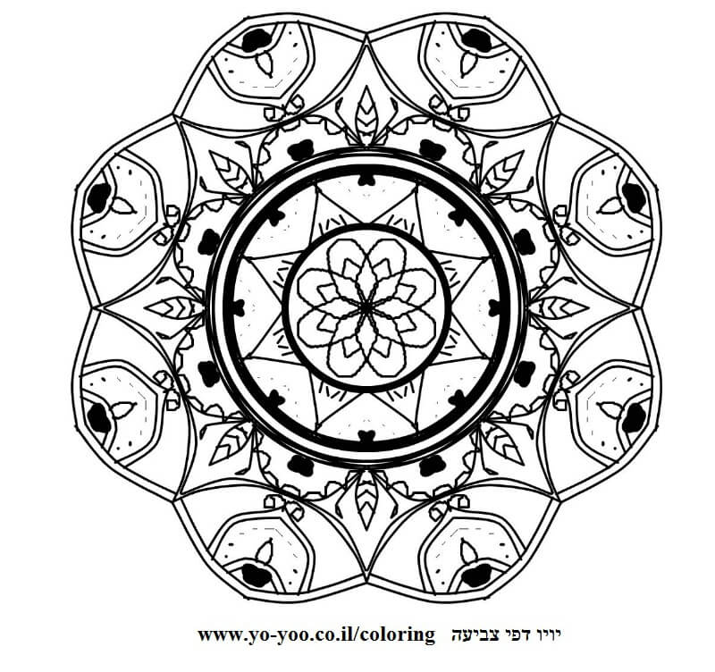   2  -      