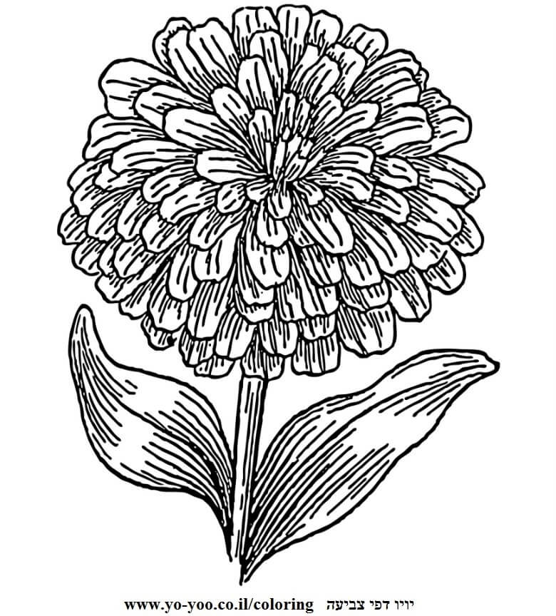 פרח עם עלים פרח עם עלים