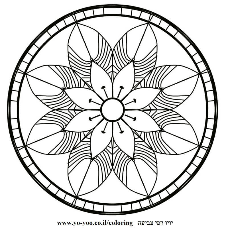 מנדלה פרח יפה  מנדלה פרח יפה