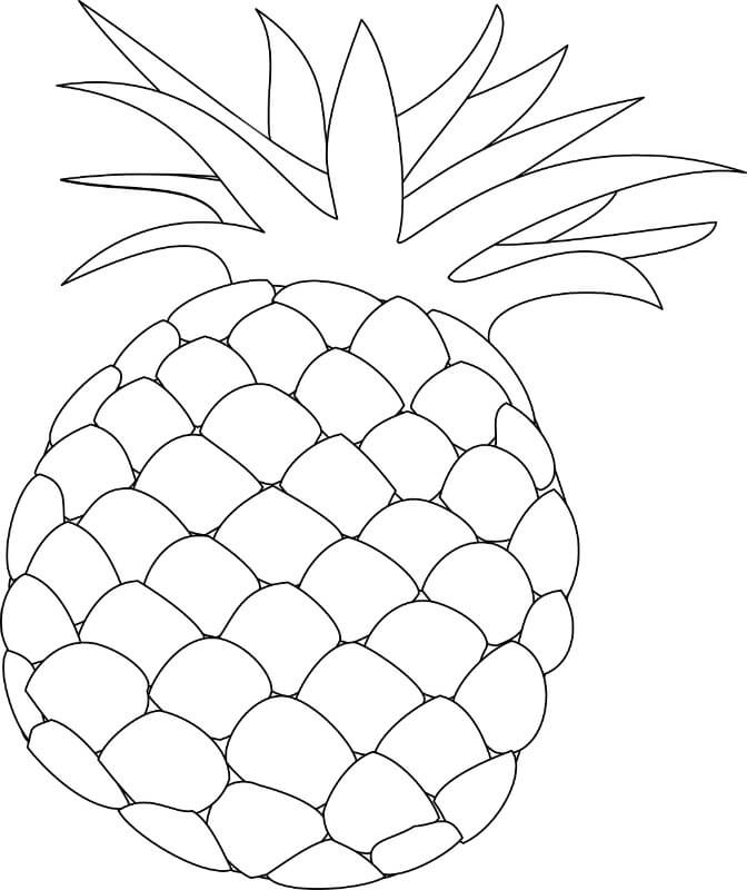    2 -      