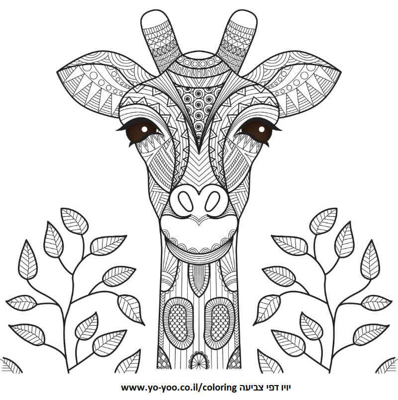 דף צביעה ג'ירפה דף צביעה ג'ירפה