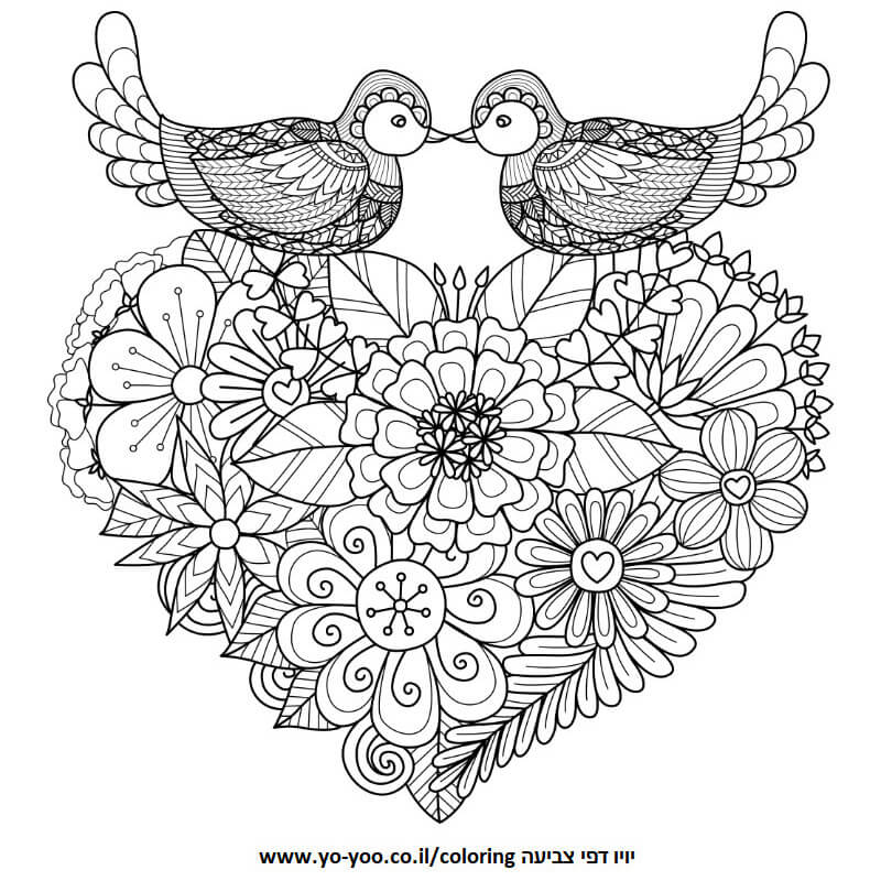 ציפורים ולב ציפורים ולב