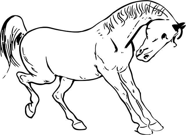 סוס לצביעה