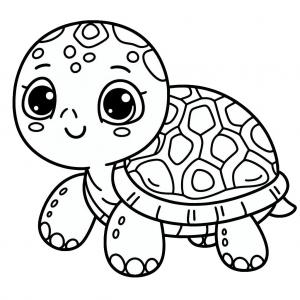 �� ����� �� �� �����