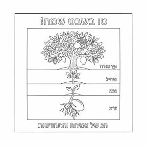 �� ���� ��� ���� ��� ������