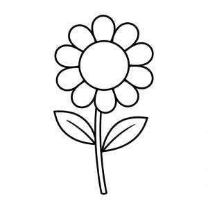 �� ����� ��� ������ - ���� �� ��� 