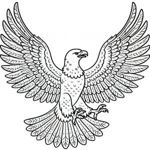 �� ����� �� ���