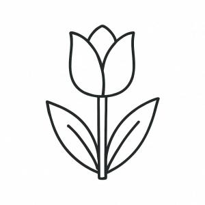 �� ����� ��� �� ������ �������