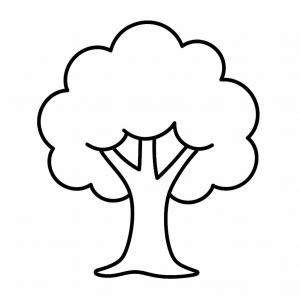 �� ����� �� ������ - ���� �� �� 