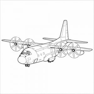 ���� ����� ������ ������ �������