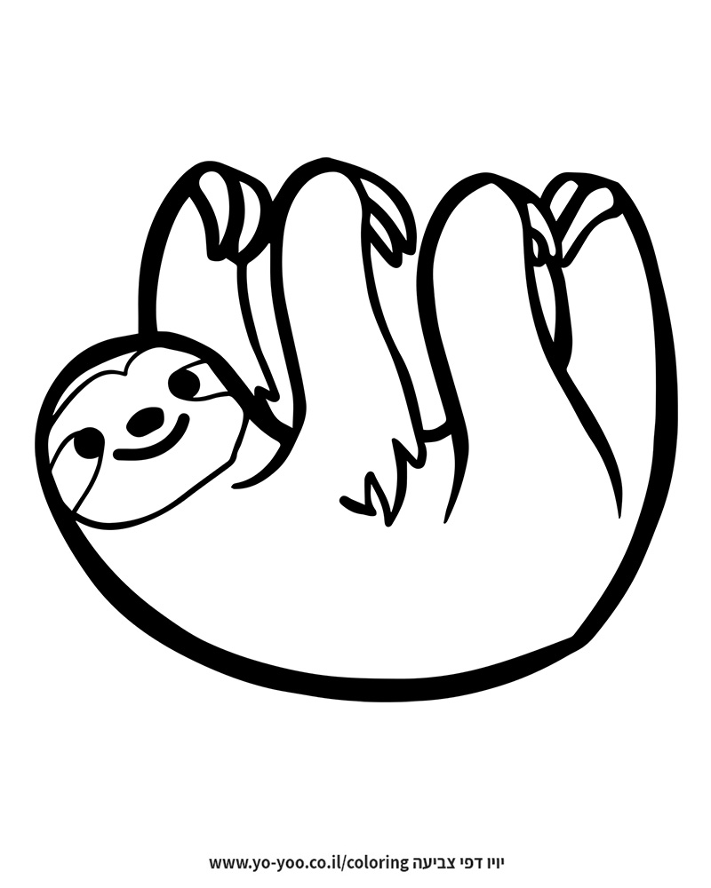   () -      