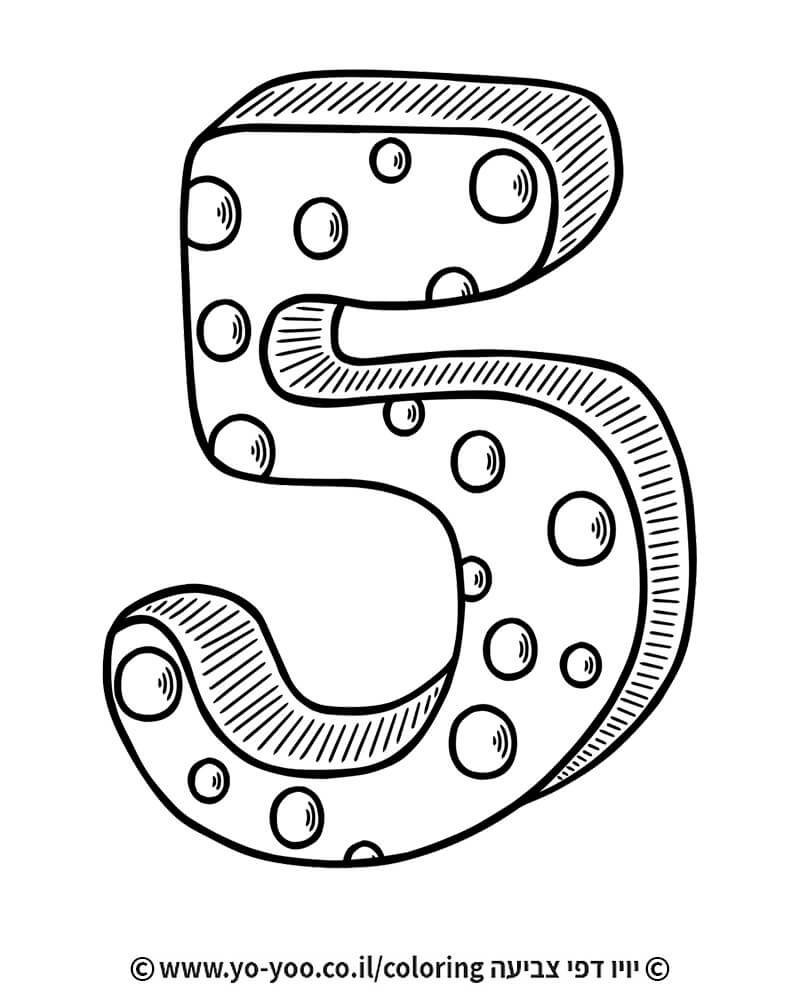   5  -      
