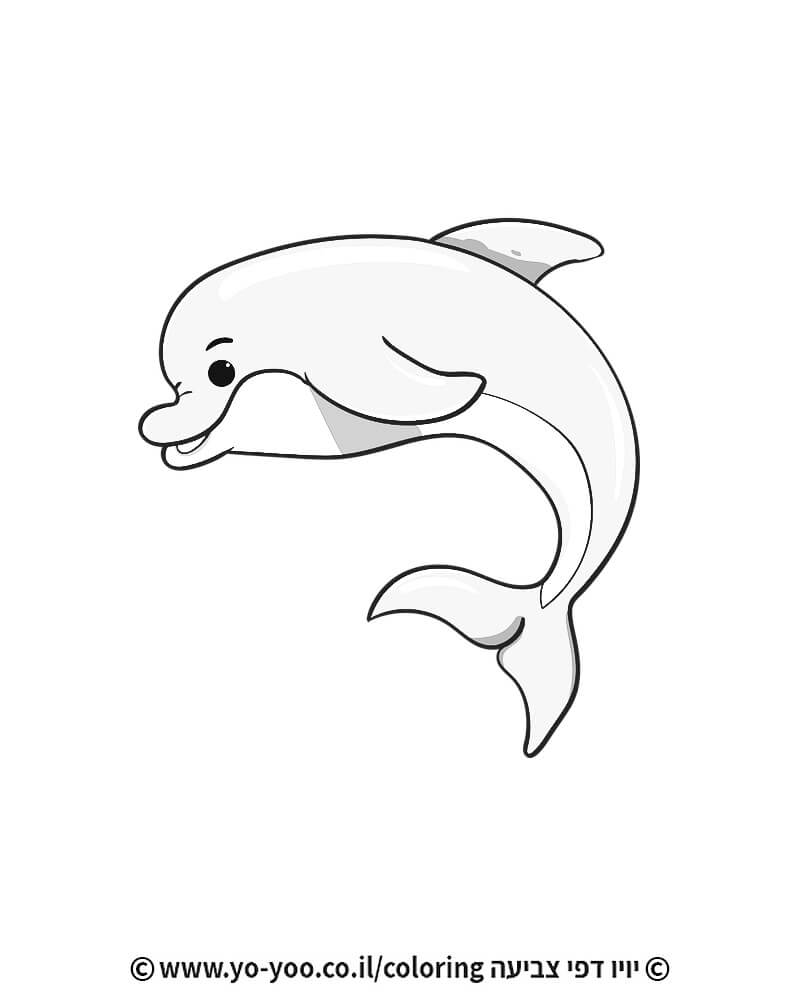 דף צביעה דולפין חמוד