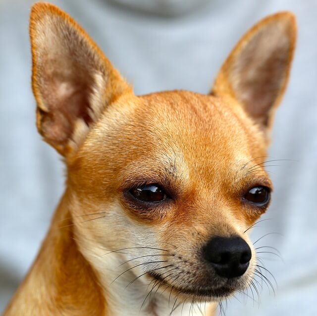 '