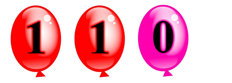  110  