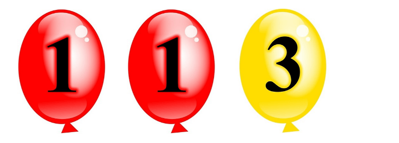  113  