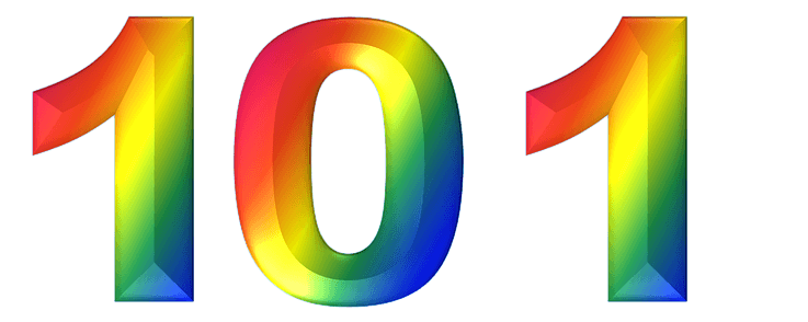 101  