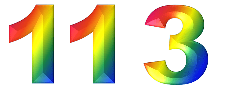  113  