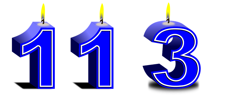  113  