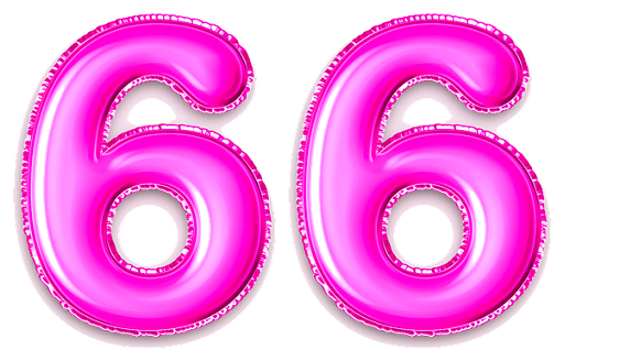  66 