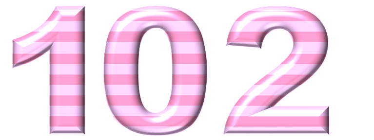  102  