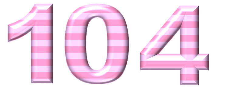  104  