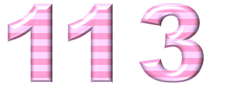  113  