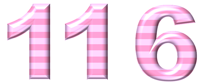  116  