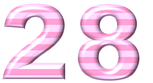  28  