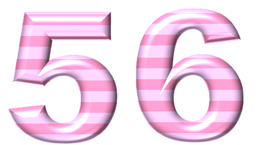  56  