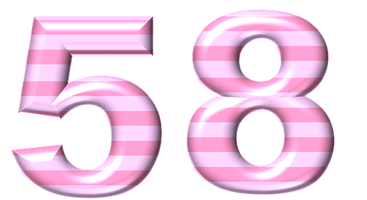  58  