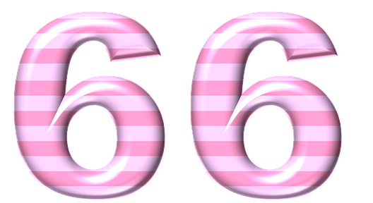  66  