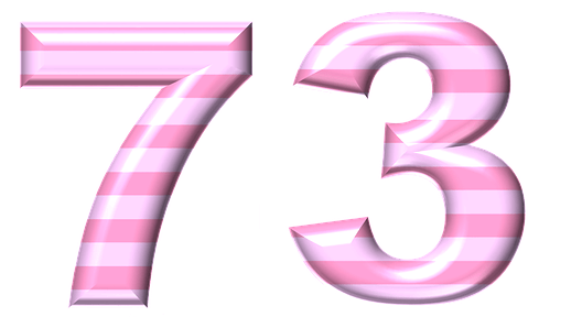  73  
