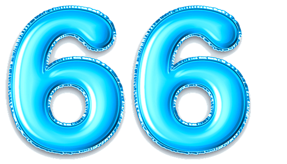  66 