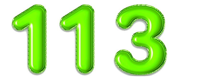  113 
