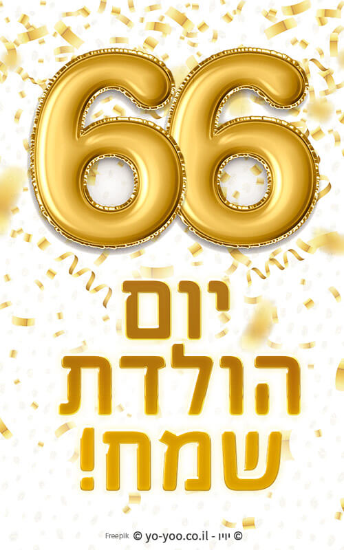     66