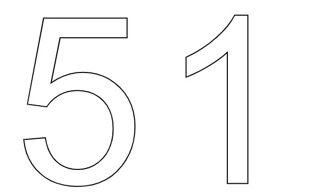  51  -  