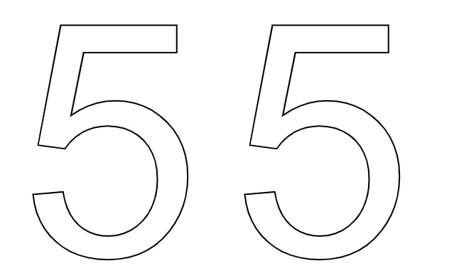  55  -  