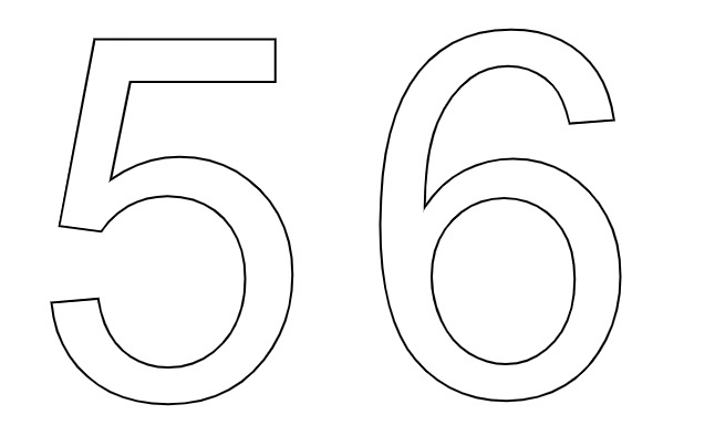  56  -  
