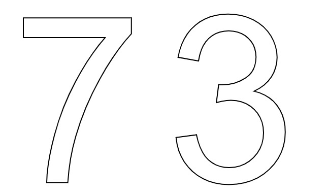  73  -  