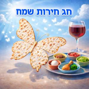 �� ����� ���